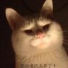 Yuki