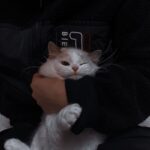 buddyfromboston38