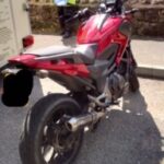 hornyinwgtn