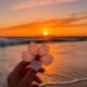 holyflower67