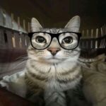 justcallme_tom